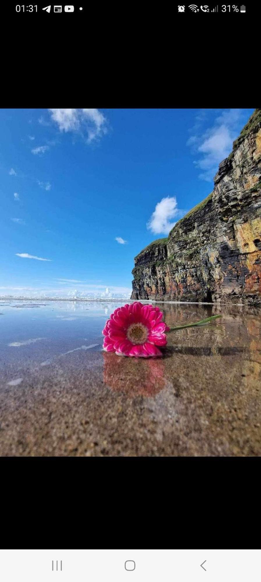 Luxury Holiday Rental With Sea Views On The Wild Atlantic Way Tralee Exterior foto